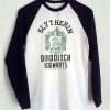 Harry Potter Slytherin Quidditch Raglan T-Shirt