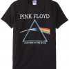 pink floyd T-shirt