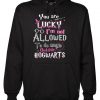 You are lucky i'mn not allowed Hoodie