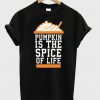 Pumpkin is the spice of life T-shirt