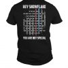 Hey Snowflake You Are Nte Special T-Shirt BACK