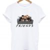 Harry Potter Ron And Hermione Friends T-Shirt