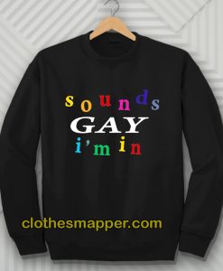 Sound Gay I'm In Sweatshirt