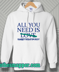 All You Need Is Sweet Tight Pussy Hoodie