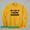 I'm A Ray Of Fucking Sunshine Sweatshirt